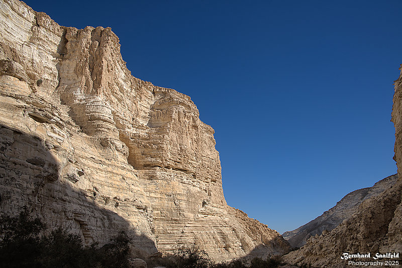 Bernhard Saalfeld - En Avdat (1v9)